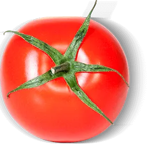 Tomate Cunit